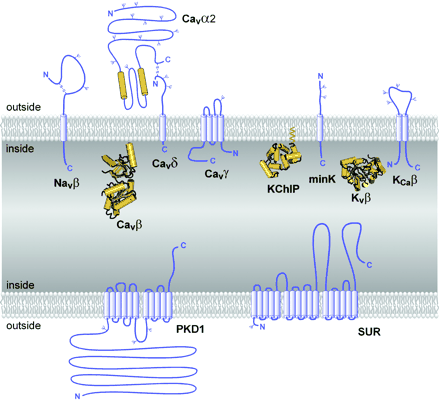 Fig. 4.