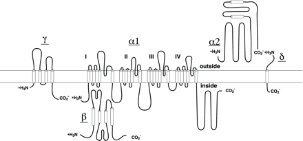 Fig. 1.