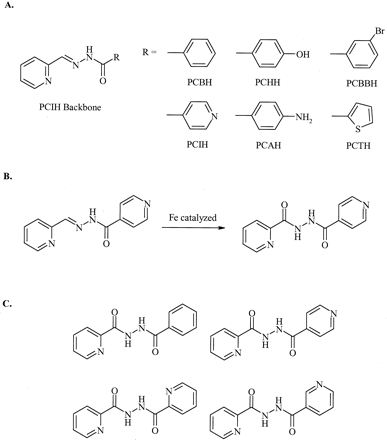 The Evolution Of Iron Chelators For The Treatment Of Iron Overload ...