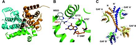 Fig. 3.