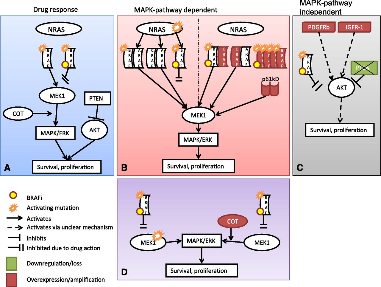 Pharmacokinetics, Clinical Indications, And Resistance Mechanisms In ...