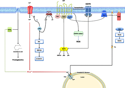 Fig. 8.