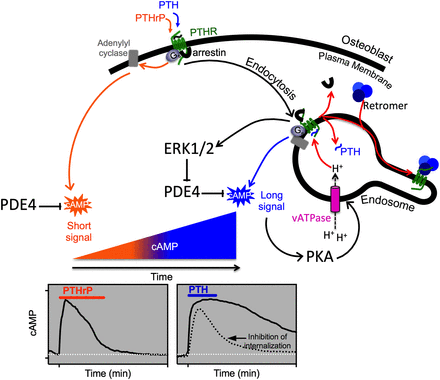 Fig. 10.