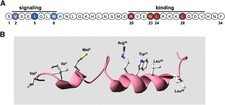 Fig. 3.