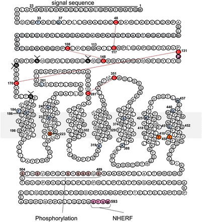 Fig. 5.