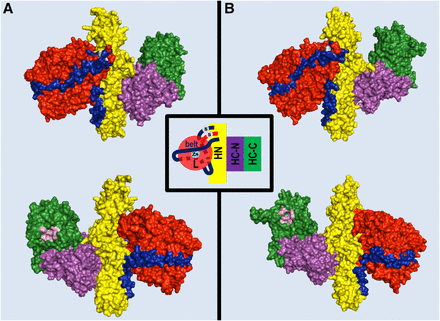 Fig. 1.