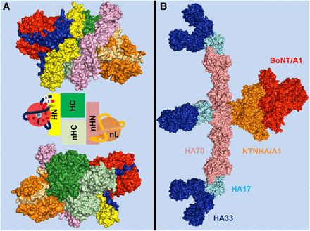 Fig. 2.