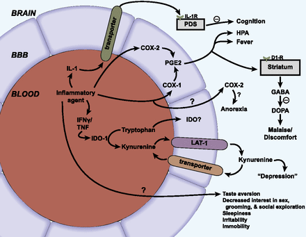 Fig. 6.