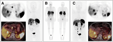 Fig. 25.