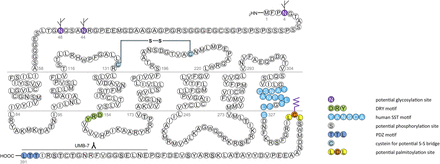 Fig. 3.