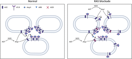 Fig. 11