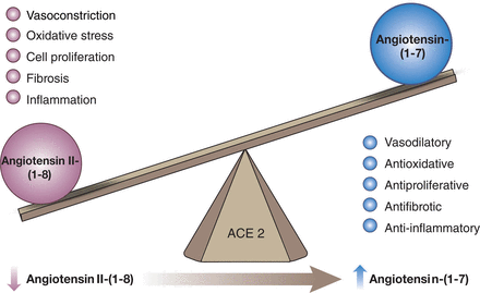 Fig. 12