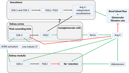 Fig. 13