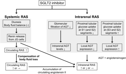 Fig. 14