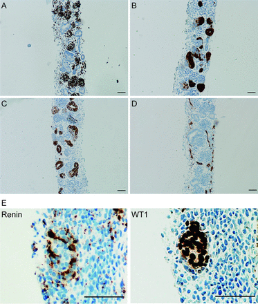 Fig. 8