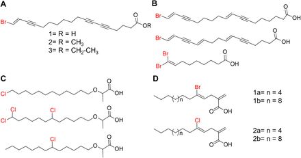 Fig. 15