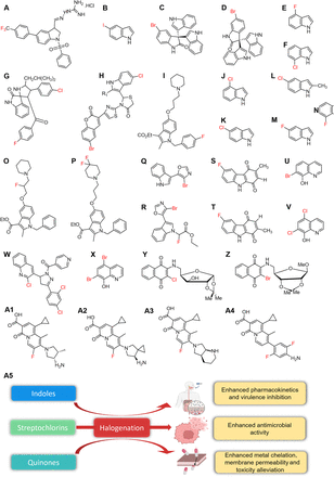 Fig. 9