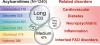 Acylcarnitines: Nomenclature, Biomarkers, Therapeutic Potential, Drug Targets, and Clinical Trials